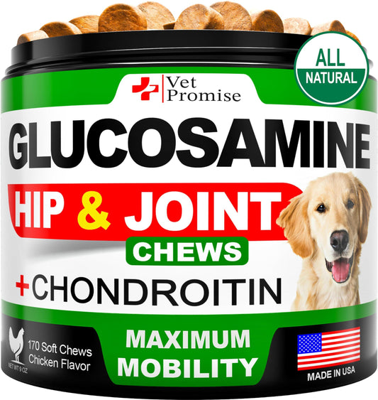 Glucosamine for Dogs   Hip and Joint Supplement for Dogs   Glucosamine Chondroitin for Dogs   Dog Joint Pain Relief   MSM   Hemp   Advanced Support Dog Joint Supplement   170 Mobility Chews